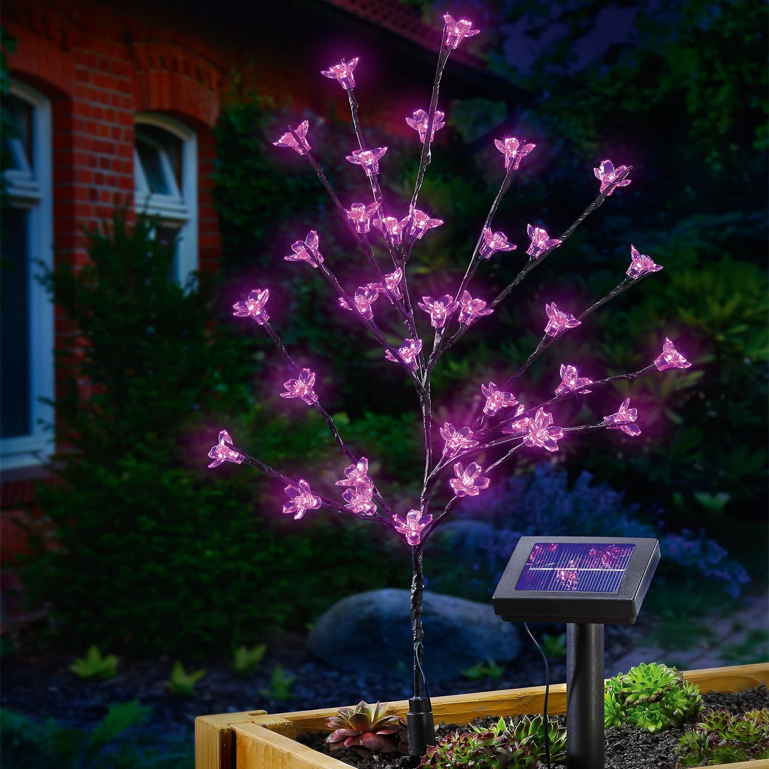 blumenstrauch